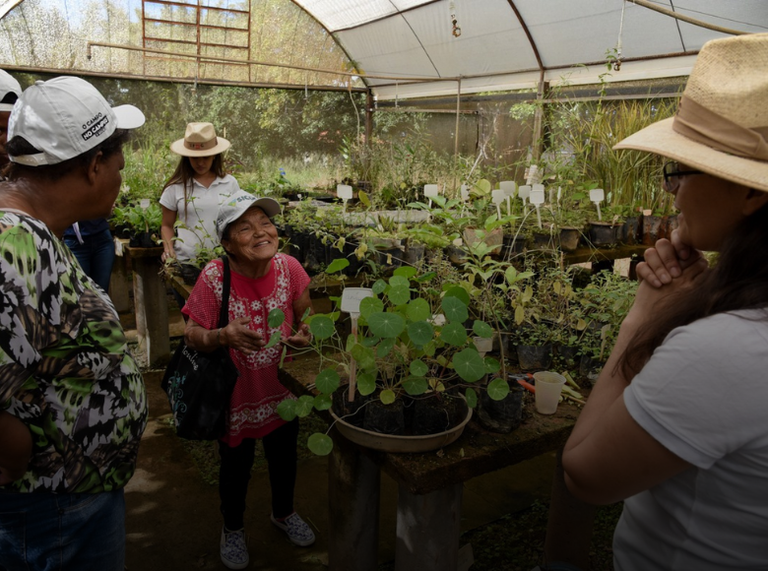 Extensão e Pesquisa nos territórios: chamada investe R$ 44 milhões em mais de 120 projetos; inscrições até 17/10